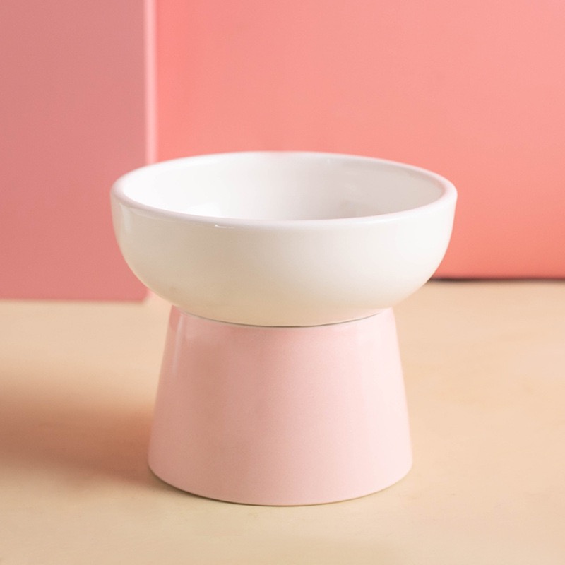 Cat Elevated Feeder Bowl