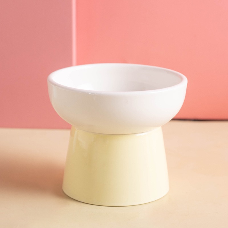 Cat Elevated Feeder Bowl